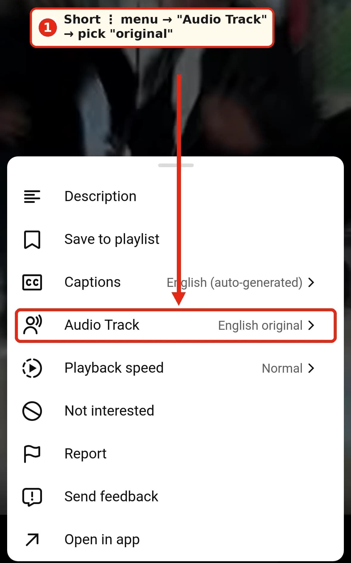 m.youtube.com: a Short's menu with the Audio Track item highlighted