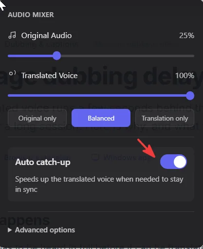The Audio Mixer with the Auto catch-up switch turned on, described underneath as speeding up the translated voice when needed to stay in sync.